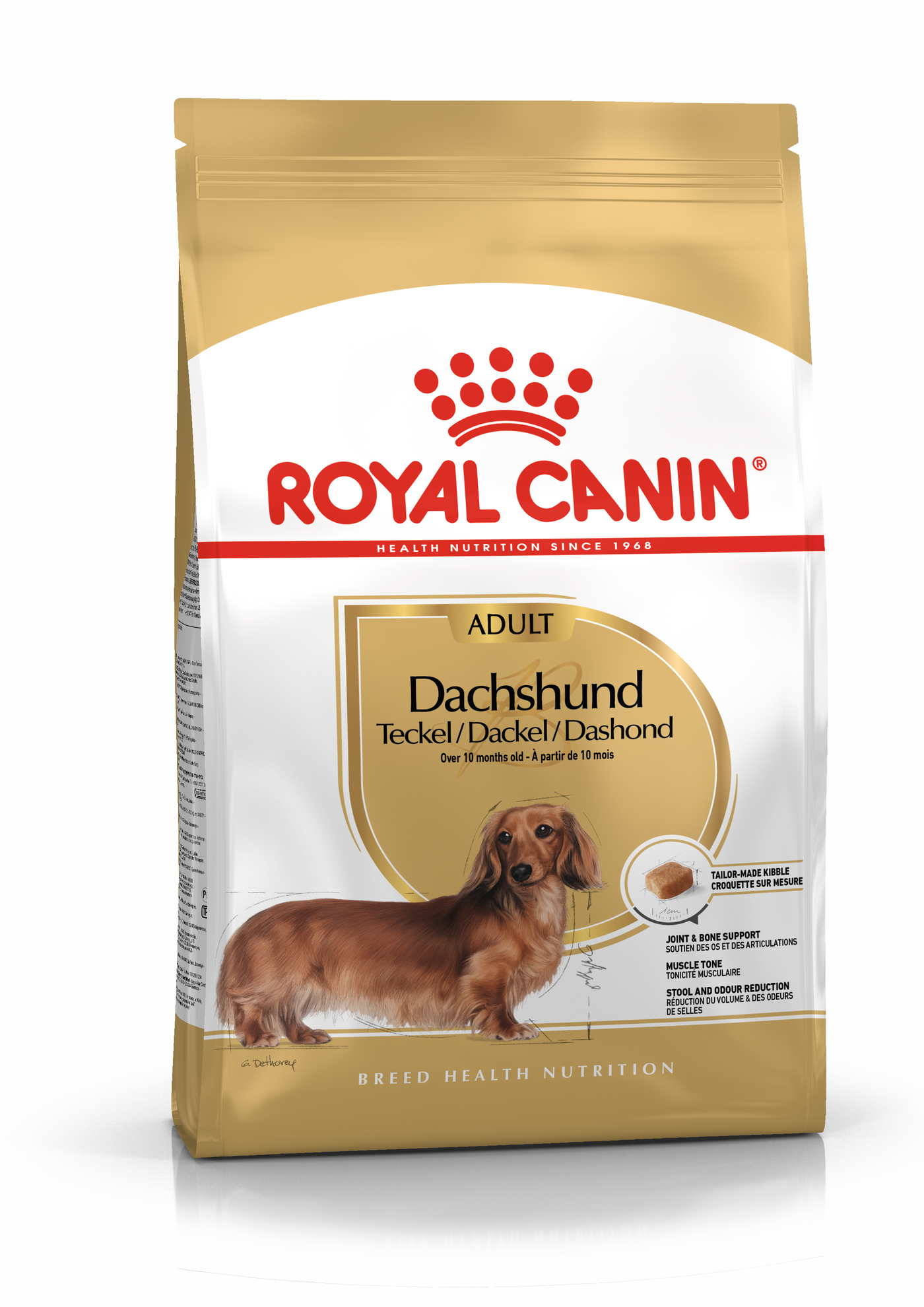 Royal Canin Dachshund Adult koiran kuivaruoka